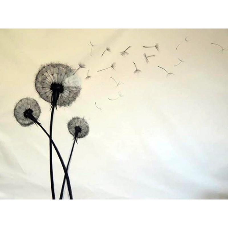 Σχέδιο Διακόσμησης  